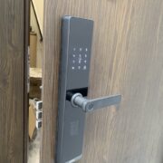 z5175202072677_d256c2ced35c2e8e3dbe05c1b890d02b